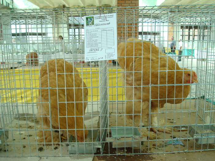 DSC08403