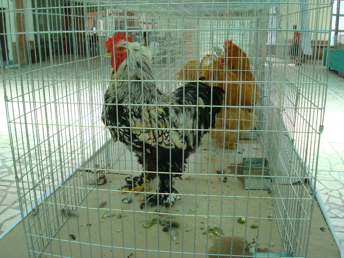 DSC08405