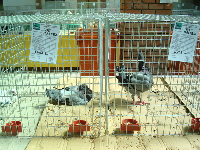 DSC08430
