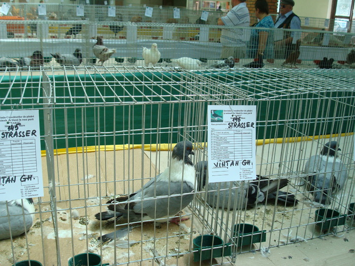 DSC08463