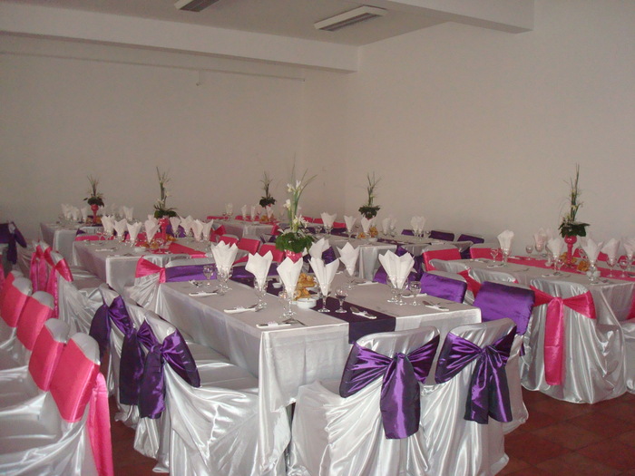 aparat 440 - Foto roz-mov-alb2