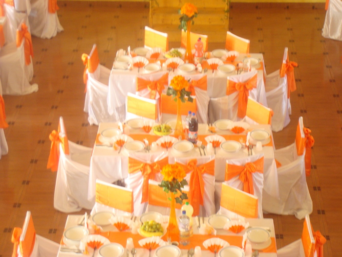 nunta 024 - Foto portocaliu-alb 1