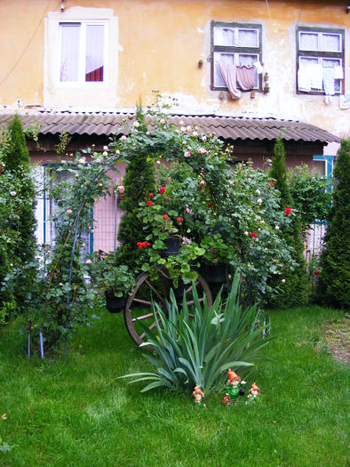 31_MAI_2010 001 (17) - curtea de la oras