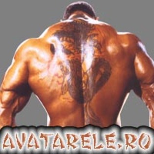 48 - Avatare Wrestling