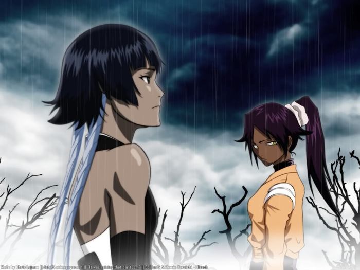 SoiFongetYoruichiShihouin6