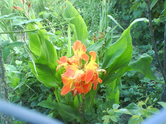 DSC02650