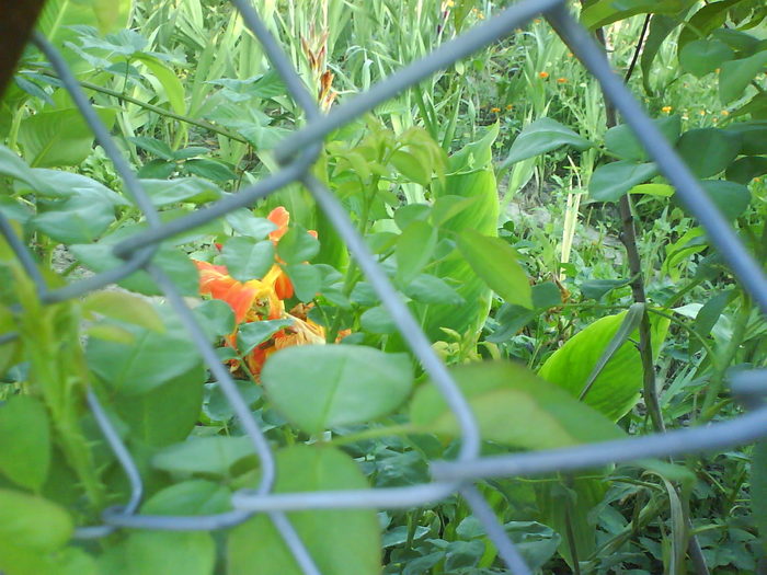 DSC02658