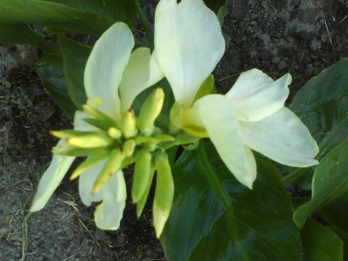 DSC02659