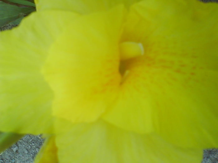 DSC02664