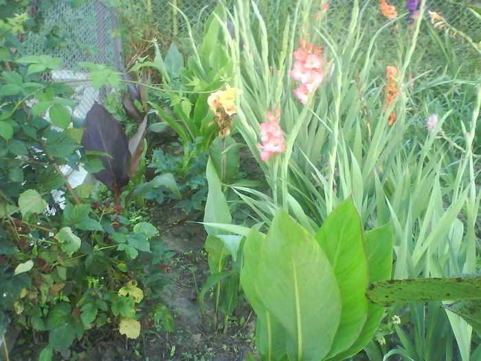 DSC02771