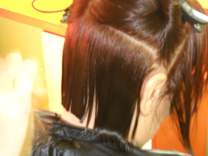 DSCN5034 - TUNSORI FACUTE DE MINE