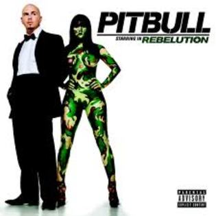 dggef - pitbull