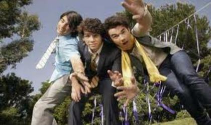 images - jonas brothers
