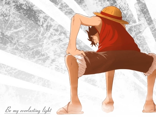 The Light - One Piece Mokey D LuFFy