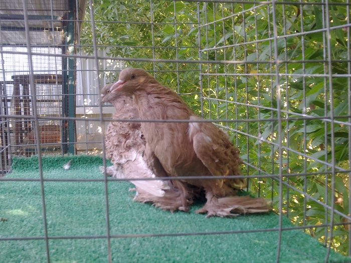 %u0635%u0648%u0631%u0629%u0660%u0663%u0662%u0668 %u0635%u0648%u0631%u0629%u0660%u0663%u0662%u0668