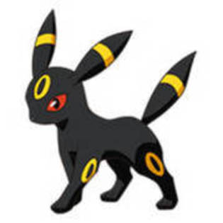 10829350_KOEUJDKYZ - umbreon