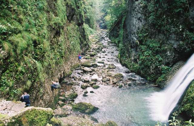 Cascada - Poze fermecatoare din natura