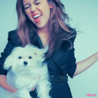 19898796_NSALVAKNI - super poze cu miley______cirus