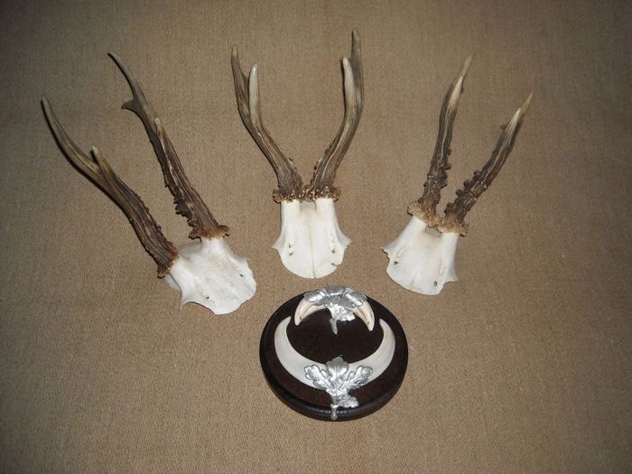 C102 - Capriori ieftini