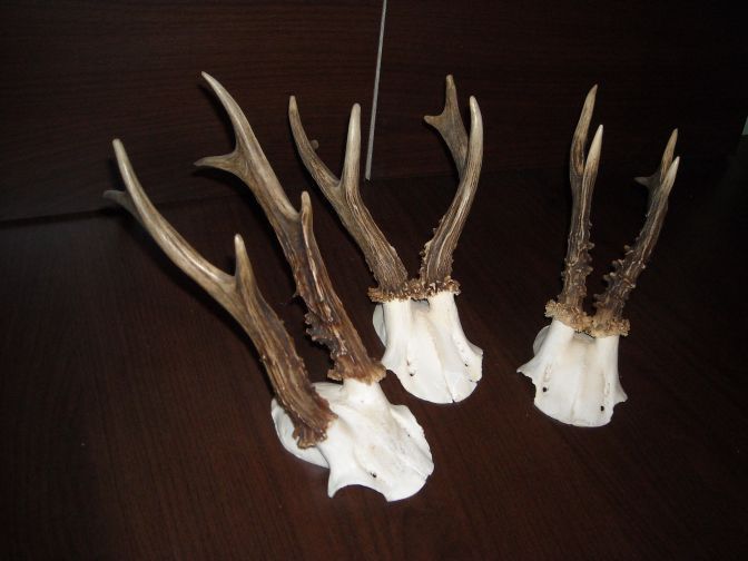 C85 - Capriori ieftini