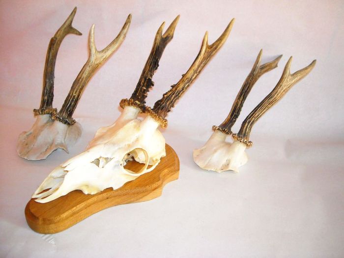 C72 - Capriori ieftini