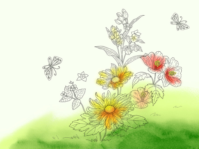 Desene cu Flori Flowers Wallpapers Poze Florale - O_o Amazing Flowers O_o
