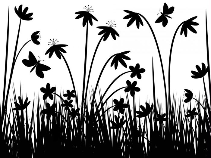 greyscale-flowers-wallpapers - O_o Amazing Flowers O_o