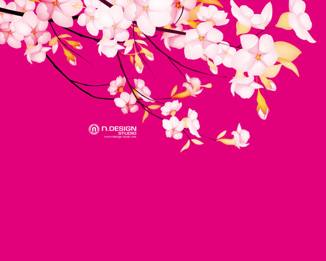 sakura-flower-wallpapers_2021_1280 - O_o Amazing Flowers O_o