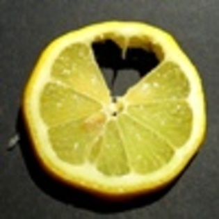 lemon_love - 0-FrUiTs