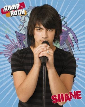 14140647_PUYRIWYHE - postere Camp rock 1