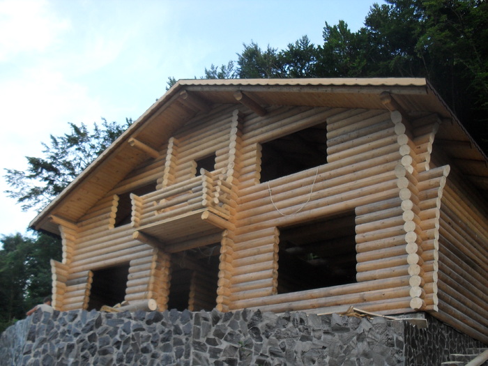 SDC11748 - activitate