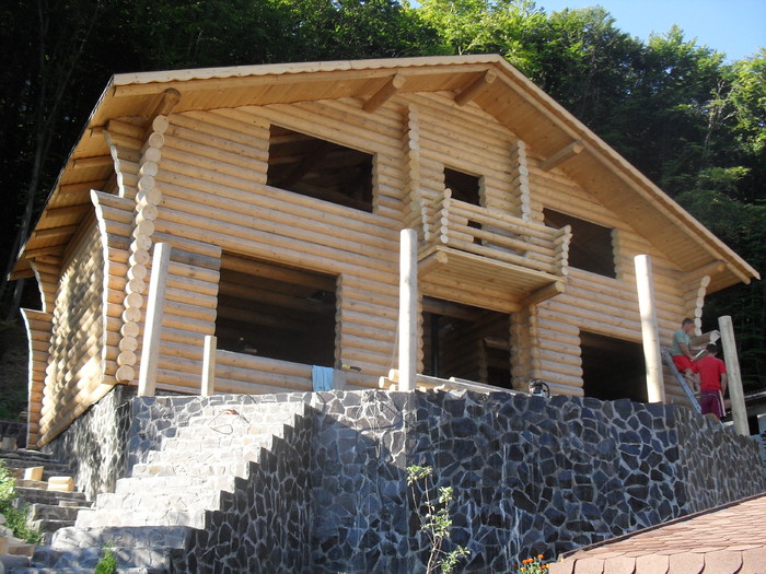 SDC11750 - activitate