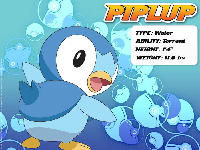 20559894_MVCKKDWCH - Pokemon - Piplup