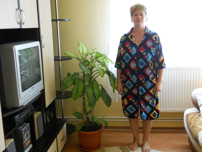 Iustina - diverse ipostaze