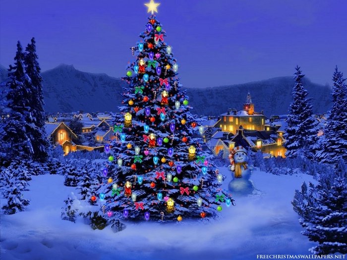 Christmas-Tree-Nature1024-226431 - Brazi de Craciun