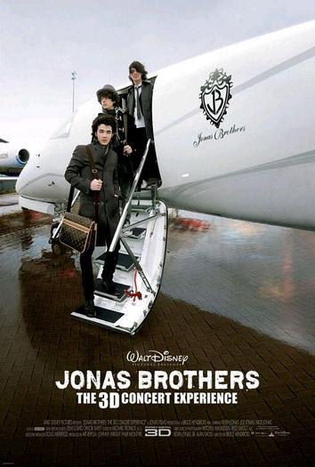 Untitled_Jonas_Brothers_3D_Project_1227511109_2009