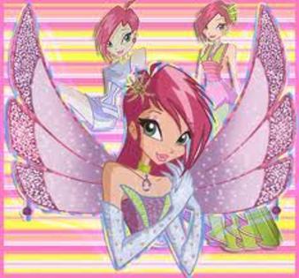 images - winx