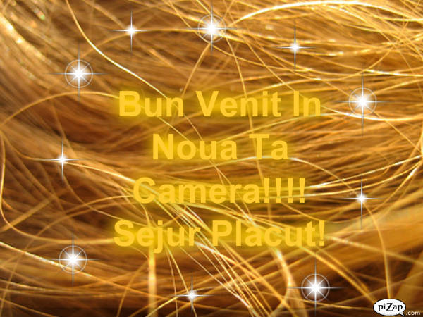 Bun Venit!