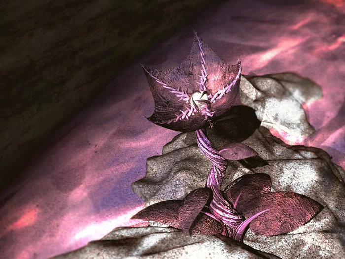 101_800 - Digital 3D