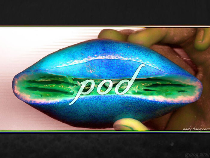 106_800 - Digital 3D