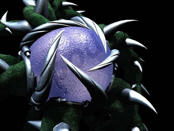 109_800 - Digital 3D