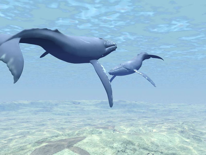 116_800 - Digital 3D