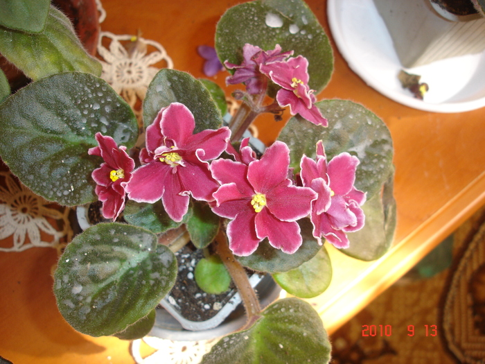 DSC09180