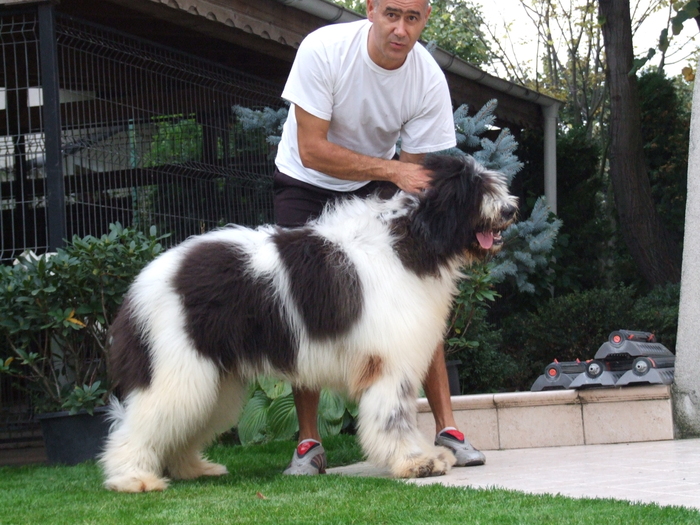 Z5 7 luni; fxfgfgjfjfjfdsj
