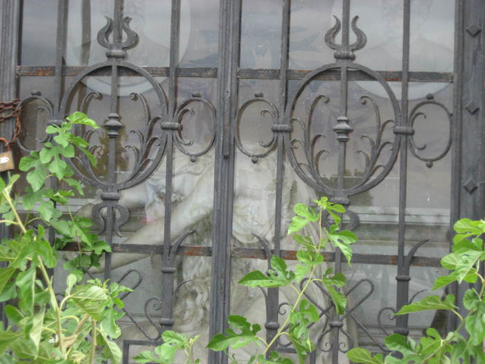 64  Cimitirul din Calafat