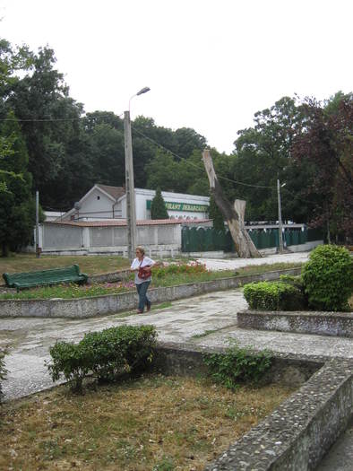 135 Theia in Calafat