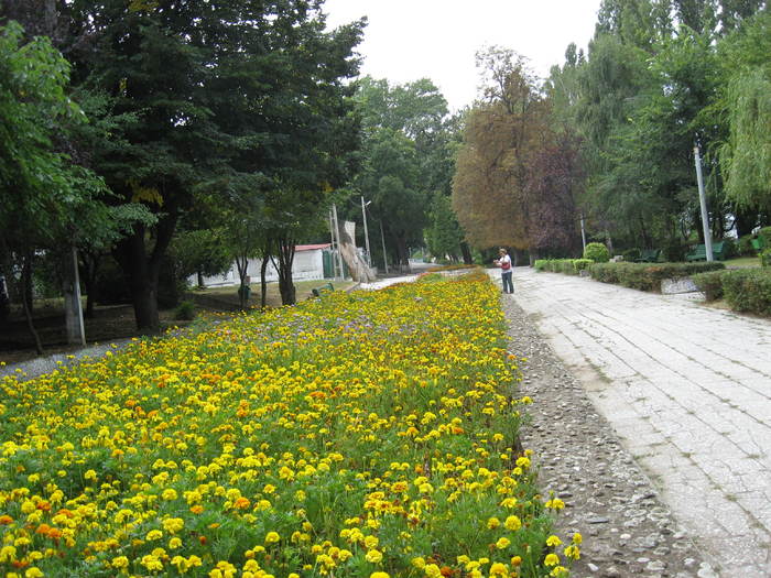 136 Theia in Calafat