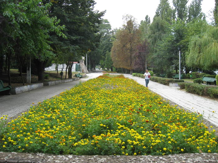 137 Theia in Calafat