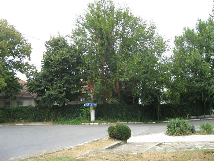 171 Spre port in Calafat