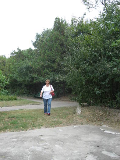 172 Theia in Calafat